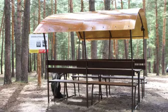 Барнаульцам напоминают правила нахождения на территории городских лесов